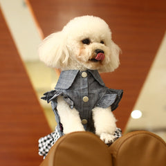 Nouvelle robe d'été pour animal de compagnie en denim à manches papillon