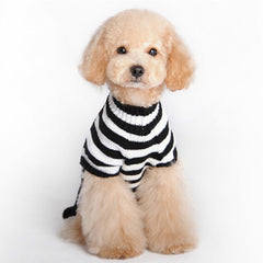 Pull d'Halloween pour chien en forme de crâne, fournitures pour animaux