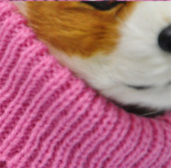 Vêtements pour animaux, pull pour chien