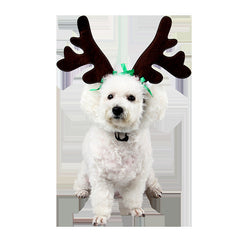 Weihnachten Haustier Katze Hund Mütze