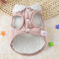 Vêtements pour chien Teddy, costume pour chien, costume pour chien