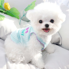 Vêtements pour chat et petit chien Teddy Bomei VIP