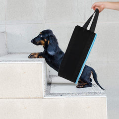Nouveaux produits pour animaux - ceinture auxiliaire pour chien - puissance pour animaux