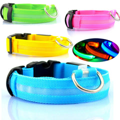 Collar LED de seguridad para perros