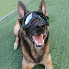 Gafas impermeables y resistentes a la nieve para perros, gafas de sol cómodas para pastor alemán, con montura suave