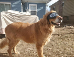 Gafas impermeables y resistentes a la nieve para perros, gafas de sol cómodas para pastor alemán, con montura suave