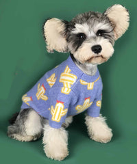 Pull cactus pour animal