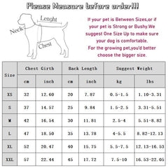 Autumn And Winter Korean Version New Dog Cute Cartoon Little Bear Sportswear Cat Teddy Pet Clothing