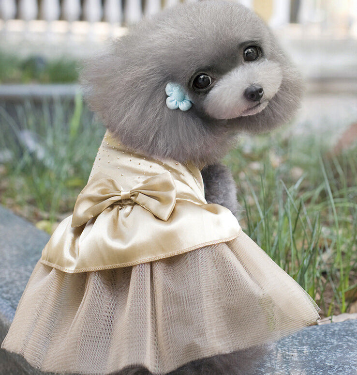 Robe de mariée pour chien