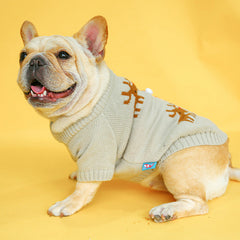 Pull de Noël pour animal