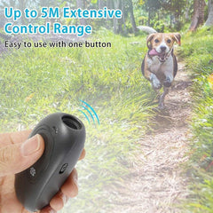 Répulsif ultrasonique pour chiens, dispositif de dressage portatif
