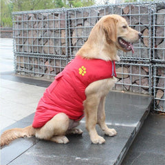 Manteau d’hiver en coton pour chien