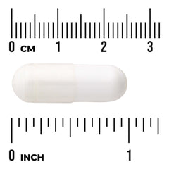 Albion Calcium & Magnesium