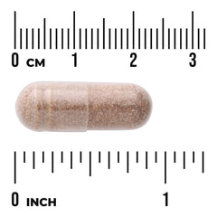 AHCC - Maximum Strength