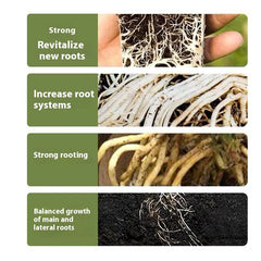 Strong Rooting And Seedling Strengthening Agent Potted Seedlings Vegetables Rooting Powder