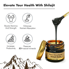Xilaizhi Cream Shilajit Resin