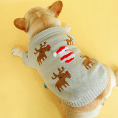 Pull de Noël pour animal