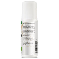 CBD Full Spectrum Roll-On - Mint