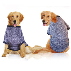 vêtements pour animaux