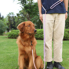 Pet Dog Cat Walking Multi-purpose Reflective Hand Holding Rope