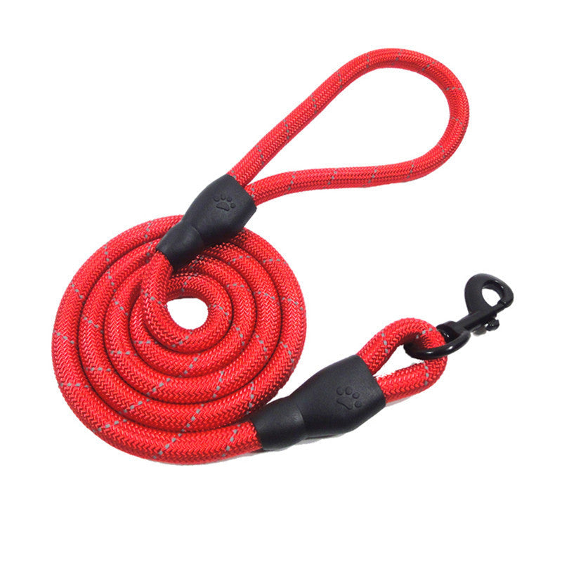 Correas con cinturón de entrenamiento