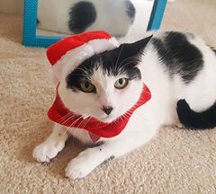 Ensemble bonnet et écharpe de Noël pour chats, chiens et petits animaux