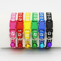 Die Hauskatze trägt ein Glöckchenhalsband