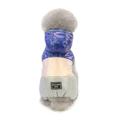 Vêtements d'hiver tendance pour animaux, nouveaux vêtements pour chiens