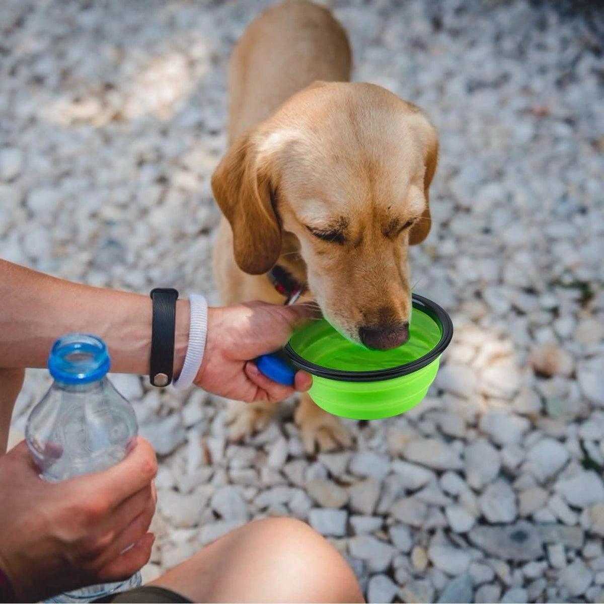 4-Pack: Silicone Collapsible Dog or Cat Food Water Bowl
