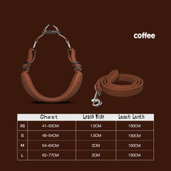 Per Harness with leash