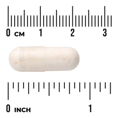 Ultra Probiotic Complex