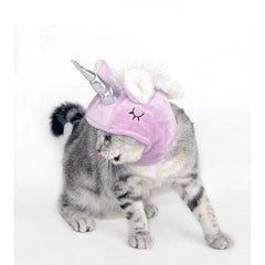 Chapeau pour animal, chapeau à tirer pour chat, universel, Halloween