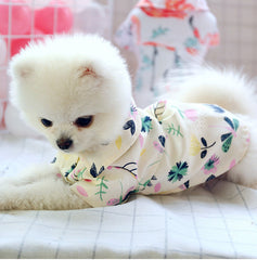 Chemise d'été fine et mignonne pour petit chien poméranien, plus petit qu'un ours