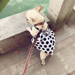 Jupe tutu noire mignonne pour chien senior