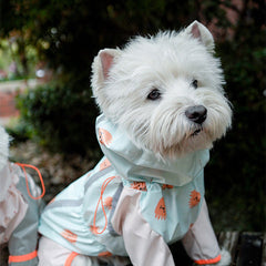 Imperméable à quatre pattes pour animaux, modèle intégral réfléchissant, imperméable et coupe-vent