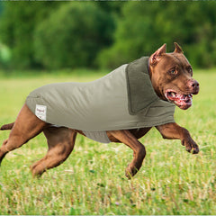 Gilet chaud coupe-froid en coton rembourré pour chien, col montant et revers, couleur unie