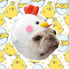 Video zur Haustier-Styling Kreativer Haustierbedarf Süßer Hundehut