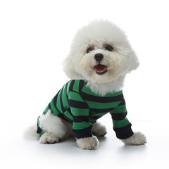 Vêtements tendance et originaux pour chien d'intérieur