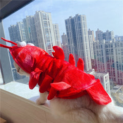 Vêtements de homard pour chat pour Halloween, le Nouvel An et Noël