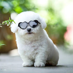 Gafas de sol para muñecas, accesorios de juguete para mascotas