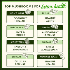 Full Spectrum 7 Mushroom Complex