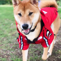 Imperméable coupe-vent et résistant à la pluie pour grand chien
