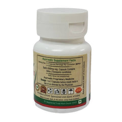 Gélules végétariennes Giloy 500mg Deep Ayurveda