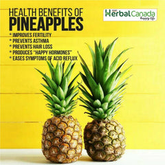 Herbal Canada Vinagre de piña