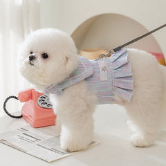 Vêtements pour chats et petits chiens