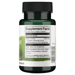 Ginger Root Extract - Maximum Strength Standardized
