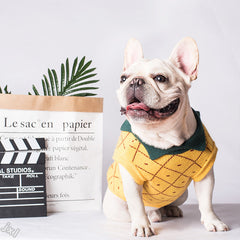Vêtements pour chiens