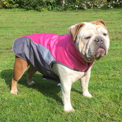 Poncho imperméable pour animaux, destiné à l'extérieur