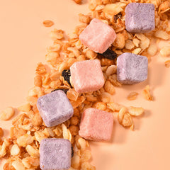 Fermented Raw Milk Freeze-dried Fruit Granules