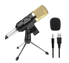 Reverb BM800 microphone